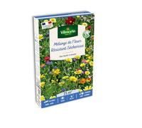 Vilmorin Fleurs Résistantes Sécheresse 25 m² Mélange de Fleurs