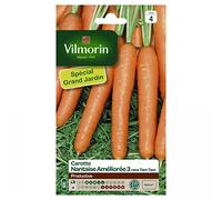 VILMORIN - Format économique - Carotte Nantaise TAM TAM