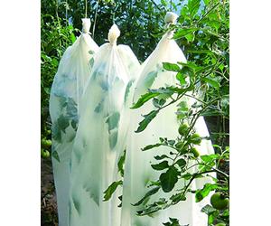 Vilmorin - Gaine Croissance Tomate Bio 0,6x8m - Facile d'utilisation - Protège et favorise la Germination et la Croissance des Jeunes pousses de tomates - en Farine de cérérales 25µm