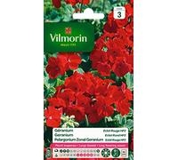 Vilmorin 5464043 Géranium, Rouge