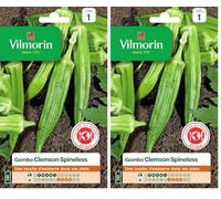 Vilmorin - Gombo Clems spineless - Saveur Venue d'Afrique Proche de l'aubergine- légume ou Condiment - Forme Pointue et hexagonale (Lot de 2)