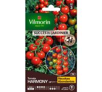 VILMORIN-Graine de tomate harmony HF1 Vilmorin - graines à semer