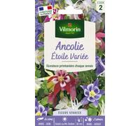 VILMORIN-Graines d’Ancolie Étoile variée Vilmorin - graines à semer