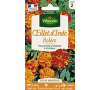 Vilmorin - Oeillet d'Inde Bolero