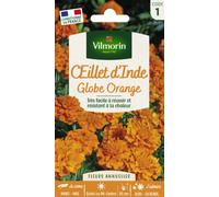 Vilmorin - Sachet graines Oeillet d'Inde Globe orange