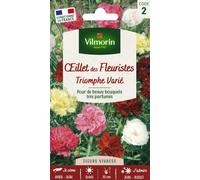 VILMORIN-Graines d’œillet des fleuristes Triomphe varié Vilmorin - graines à semer