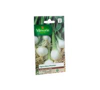 VILMORIN-Graines d’Oignon blanc Vilmorin - graines à semer