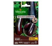 VILMORIN-Graines d'aubergine avan HF1 Vilmorin - graines à semer