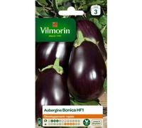 VILMORIN-Graines d'aubergine bonica HF1 Vilmorin - graines à semer