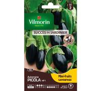 VILMORIN-Graines d'aubergine picola HF1 Vilmorin - graines à semer