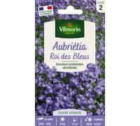 VILMORIN-Graines de Aubriétia Roi des Bleus Vilmorin - graines à semer