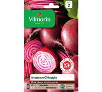VILMORIN-Graines de betterave chioggia Vilmorin - graines à semer