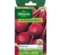 VILMORIN-Graines de Betterave de détroit short top Vilmorin - graines à semer