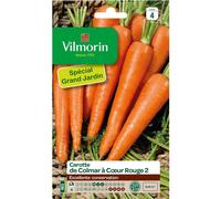 VILMORIN-Graines de carotte Colmar à cœur rouge Vilmorin - graines à semer