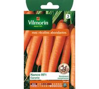 Vilmorin 3188143 Pack de Graines Carotte Nanco HF1 Création