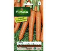 VILMORIN-Graines de carotte nantaise améliorée 3 race tam tam Vilmorin - graines à semer