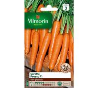 VILMORIN-Graines de carotte presto HF1 Vilmorin - graines à semer