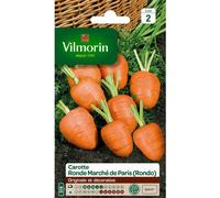 Carotte Ronde Marché de Paris