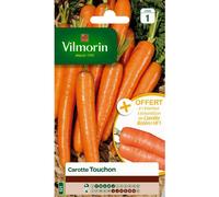 VILMORIN-Graines de carotte touchon Vilmorin orange - graines à semer