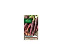 VILMORIN-Graines de Carotte violette Purple Haze Vilmorin - graines à semer