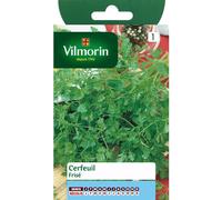 VILMORIN-Graines de cerfeuil frisé Vilmorin - graines à semer