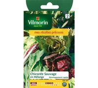 VILMORIN-Graines de chicorée sauvage en mélange Vilmorin - graines à semer