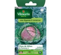 VILMORIN-Graines de chou de Milan de pontoise Vilmorin - graines à semer