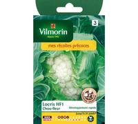Vilmorin - Sachet de graines Chou Fleur LOCRIS HF1 - Création Vilmorin