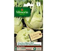 VILMORIN-Graines de choux rave blanc hatif de Vienne Vilmorin - graines à semer