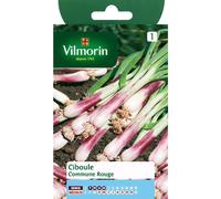 Vilmorin - Ciboule Commune Rouge