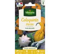 VILMORIN-Graines de Coloquinte variée Vilmorin - graines à semer