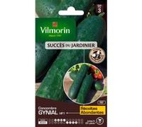 VILMORIN-Graines de concombre gynial HF1 - graines à semer