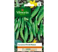 VILMORIN-Graines de cornichon fin de Meaux Vilmorin - graines à semer