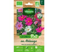 Vilmorin Sachet graines Cosmos en mélange Bio - Cosmos bipinnatus