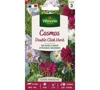 VILMORIN-Graines de Cosmos double click varié Vilmorin - graines à semer