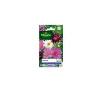 Vilmorin 5248142 Pack de Graines Cosmos Psyché Varié