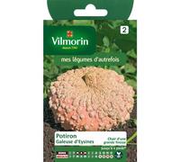 VILMORIN-Graines de courge galeuse Vilmorin - graines à semer