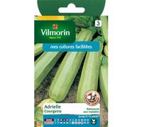 VILMORIN-Graines de courgette adrielle Vilmorin - graines à semer