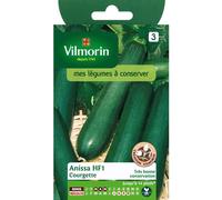 VILMORIN-Graines de courgette anissa HF1 Vilmorin - graines à semer