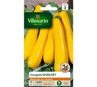 VILMORIN-Graines de Courgette Orélia HF1 Vilmorin - graines à semer