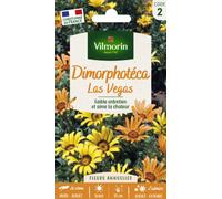 VILMORIN-Graines de Dimorphotéca Las Vegas Vilmorin - graines à semer