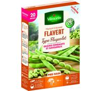 VILMORIN-Graines de flageolet Flavert Vilmorin - graines à semer