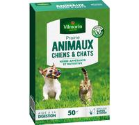 VILMORIN-Graines de gazon à semer prairie pour chiens et chats Vilmorin - 500 g