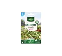 vilmorin graines de haricot a rames montebello - 5 m