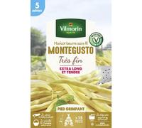 VILMORIN-Graines de haricot beurre sans fil Montegusto très fin Vilmorin - graines à semer