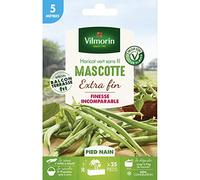 Vilmorin Graines de Haricot Mascotte - 5 m