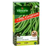 VILMORIN-Graines de haricot nain divinel Vilmorin - graines à semer