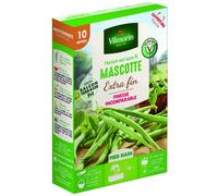 VILMORIN-Graines de haricot nain Mascotte Vilmorin - graines à semer