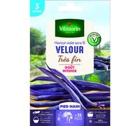 Vilmorin - Graines de Haricot violet sans fil VELOUR très fin - 5 mètres
