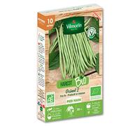Vilmorin - Graines de Haricot Nain Vert Oxinel 2 BIO - 10 metres